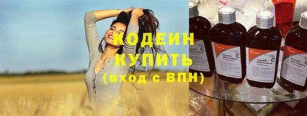 прущие грибы Аркадак