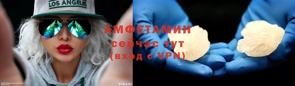 прущие грибы Аркадак