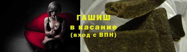прущие грибы Аркадак