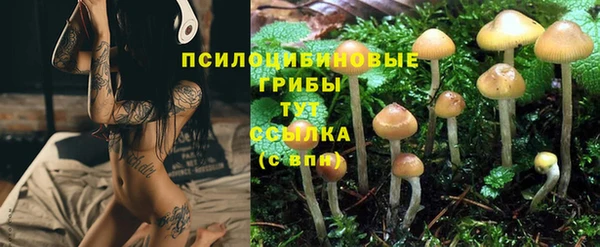 кристаллы Арсеньев