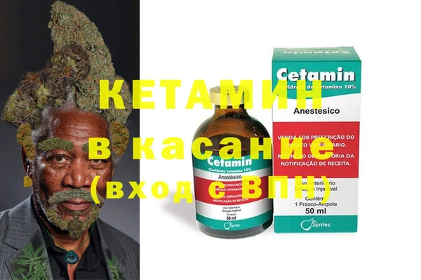 прущие грибы Аркадак