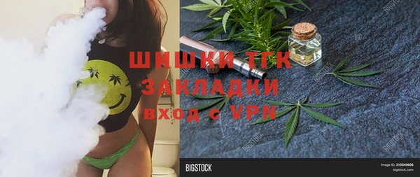 прущие грибы Аркадак